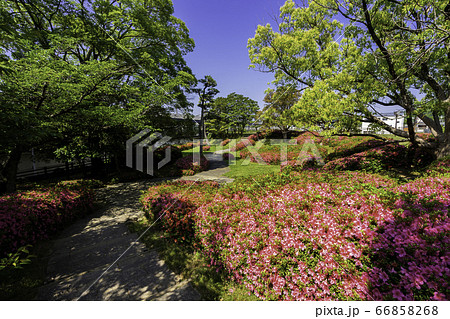 三原城址　天守台　広島県三原市 66858268