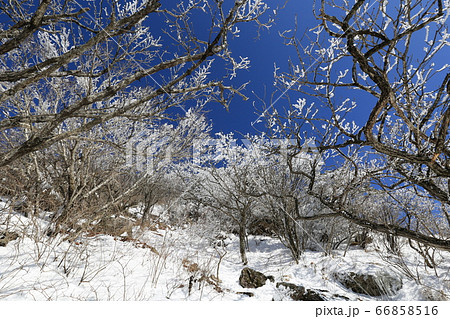 韓国 居昌郡 全北 66858516