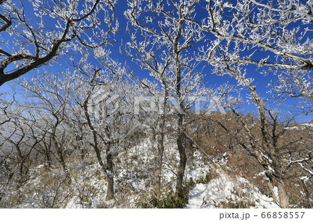 韓国 居昌郡 全北 66858557