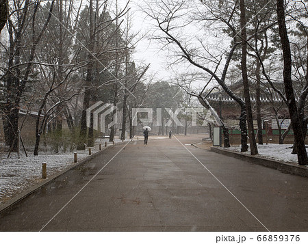 韓国 ソウル市 景福宮 66859376