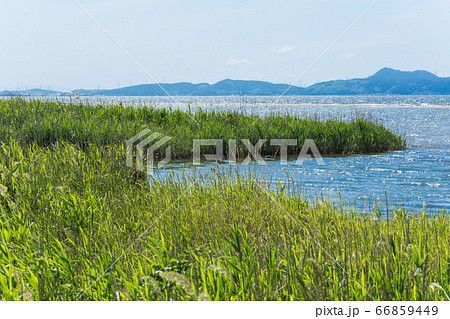 爽やかな中海 飯梨川河口の風景 清潔感のある癒やし写真 爽やかな中海 飯梨川河口の風景 清潔感のある癒やし写真 66859449