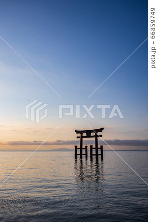 （滋賀県）白髭神社大鳥居　夏至の頃　夜明け 66859749