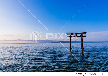 （滋賀県）白髭神社大鳥居　夏至の頃　早朝 66859942