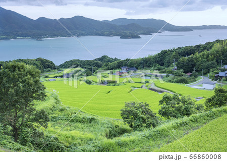 夏の風景　海を臨む緑が美しい棚田　山口県長門市油谷　 66860008