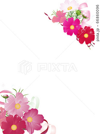 コスモスの花束とリボンのイラスト背景素材縦型のイラスト素材