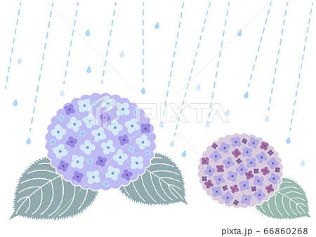 シンプルな雨と紫陽花のイラストのイラスト素材