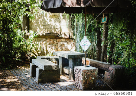 Outdoor old wooden bench in smoking area zone.Among the green trees 66860901