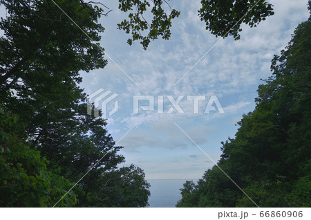 知床のオシンコシンの滝から見たオホーツク海と空 66860906