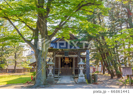 山形酒田の初夏 新緑の山居倉庫 三居稲荷神社 山形酒田の初夏 新緑の山居倉庫 三居稲荷神社 66861441