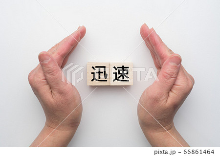 イメージ　迅速 66861464