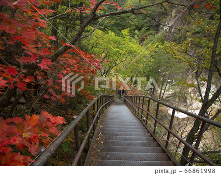 韓国 江原道 麟蹄郡 66861998