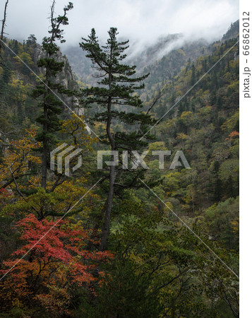 韓国 江原道 麟蹄郡 66862012