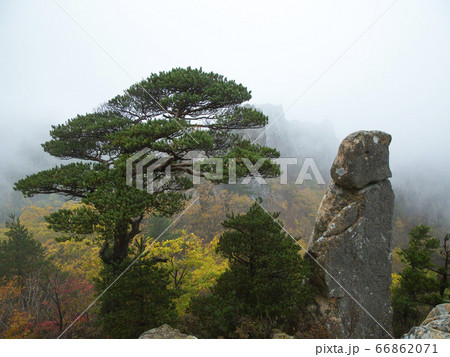 韓国 江原道 麟蹄郡 66862071