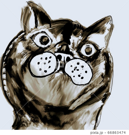 白黒の子猫の凛々しい顔と生き様のイラスト素材 白黒の子猫の凛々しい顔と生き様のイラスト素材