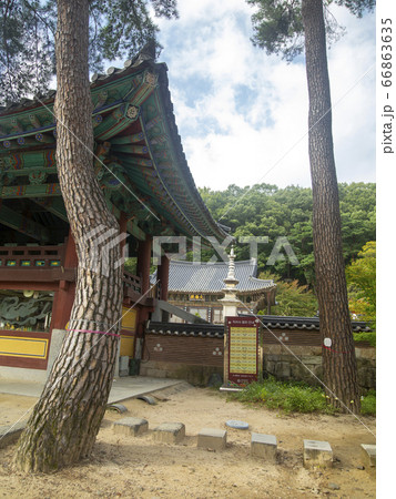 韓国 慶北 金泉市 66863635