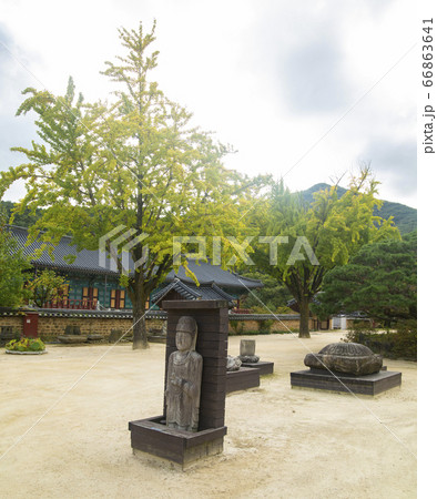 韓国 慶北 金泉市 66863641