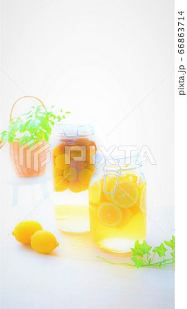 レモネードと梅シロップ 66863714