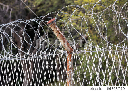 Restricted Area Barbed Fence, security concept Restricted Area Barbed Fence, security concept 66863740