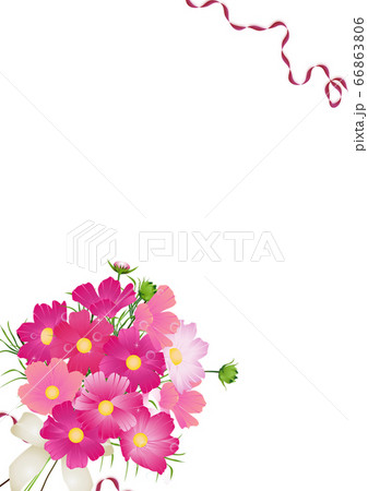 コスモスの花束のイラスト背景素材縦型のイラスト素材