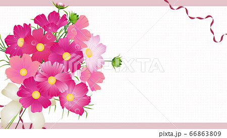 コスモスの花束のイラストワイドバーチャル背景素材のイラスト素材