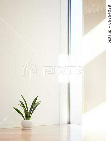 引っ越しで何もない部屋のイメージ 引っ越しで何もない部屋のイメージ 66864029