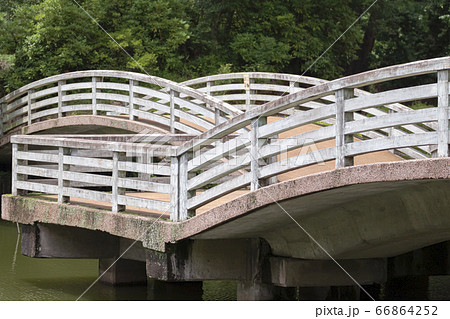 薬師池公園　梅雨景 66864252