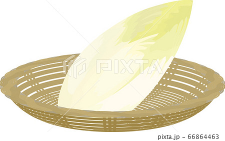 チコリー 藤かご イラスト チコリー 藤かご イラスト 66864463