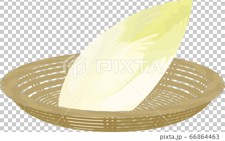 チコリー 藤かご イラスト チコリー 藤かご イラスト 66864463