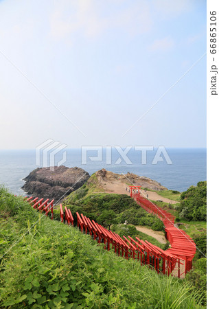 山口県　夏　長門市　元乃隅稲荷神社 66865106