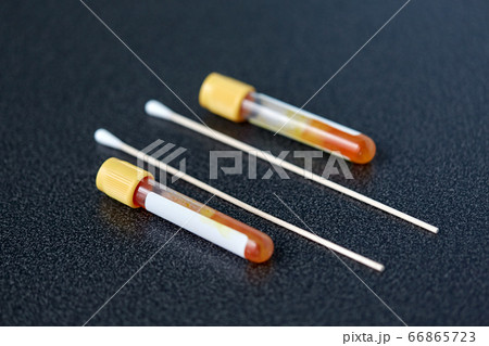 test tubes with blood plasma and cotton swabs 66865723