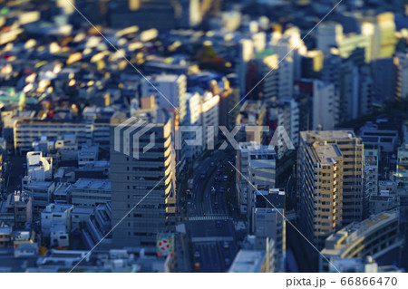 渋谷にて高層階から撮影したミニチュア風の都市景観 66866470