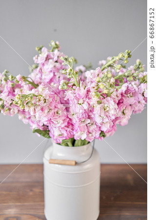 Bouquet of Beautiful lilac mattiola. Spring flowers in vase on wooden table. Flowers delivery. 66867152