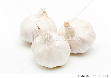ニンニク 66870891
