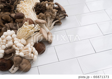 きのこたくさん きのこたくさん 66871373