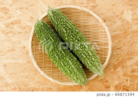 ゴーヤー（ニガウリ） 66871394