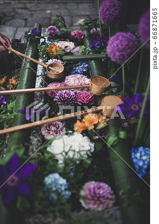 今宮神社の花手水 66871665