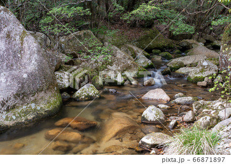 大竹市谷和鳴滝 大竹市谷和鳴滝 66871897