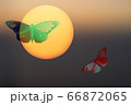 Abstract mystical background with unusual animals at sunset. Fantastic images and symbols. butterflies 66872065