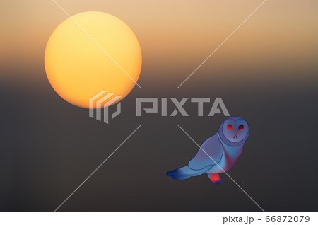 Abstract mystical background with unusual animals at sunset. Fantastic images and symbols. Owl 66872079