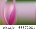 spring silk abstract background pink ash gives freshness and happiness. Feminine pink pattern 66872081