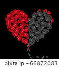 Heart red rose petals on Valentine day. scarlet Heart in love with roses. 66872083