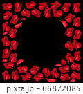Heart red rose petals on Valentine day. scarlet Heart in love with roses. 66872085