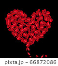 Heart red rose petals on Valentine day. scarlet Heart in love with roses. 66872086