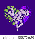 Heart lilac rose petals on Valentine day. scarlet Heart in love with roses. 66872089