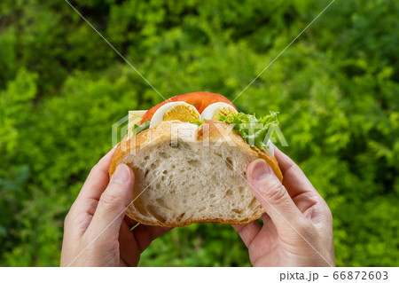アウトドア料理　Outdoor cooking in a camping  66872603