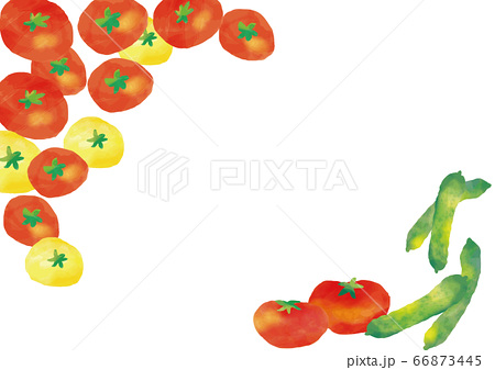 水彩風 夏イメージ野菜 トマトときゅうり のイラスト素材