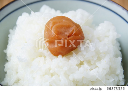 梅干ご飯 梅干ご飯 66873526