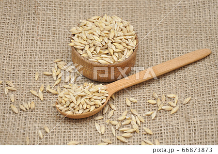 Barley in wooden bowl on a sackcloth Barley in wooden bowl on a sackcloth 66873873