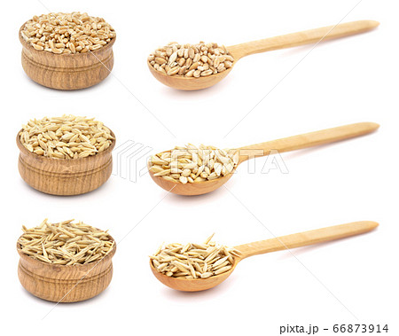 Wheat, barley, oat in wooden bowls and spoons 66873914