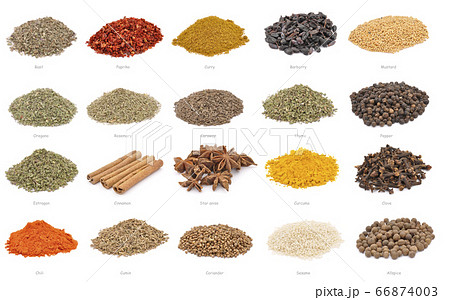 Spices. Large collection of spices with name titles Spices. Large collection of spices with name titles 66874003